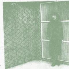 Vertical jamming (Vinile)