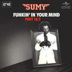 Funkin' in your mind pt.1&2 (Vinile)