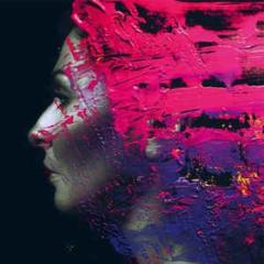 Hand. cannot. erase. (Vinile)