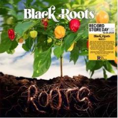 Roots (2025 rsd) (Vinile)