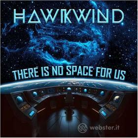 There is no space for us (Vinile)