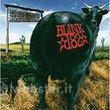 Dude ranch