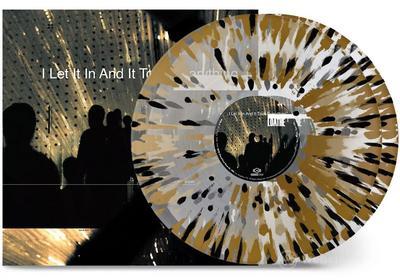 I let it in and it took everything (Vinile)
