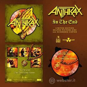 In the end (vinyl shaped picture) (Vinile)