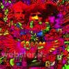 Disraeli gears (Vinile)