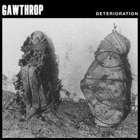 Deterioration (Vinile)