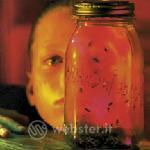 Jar of flies