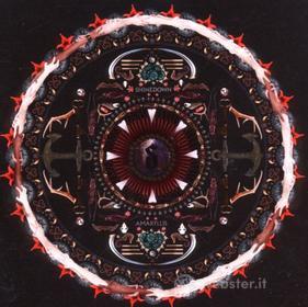 Amaryllis
