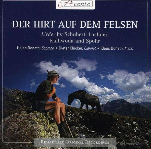 Hiirt auf dem felsen