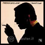 Stoneflower
