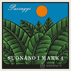 Paesaggi 1980 album cover (Vinile)