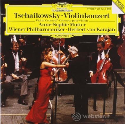 Violinkonzert (concerto per violino)