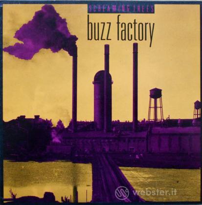 Buzz factory (Vinile)
