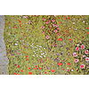 Gustav Klimt - Frutteto con rose 1911 - Poster vintage originale anno 1996