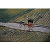 Vincent Van Gogh - Paesaggio d'Auvers dopo la pioggia - Poster vintage originale anno 1996