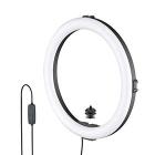 JOBY Beamo Ring Light 12", Luce LED, Ring Light Telefono, Fotocamera, Luce Fotografica con 3 Modalit? Luce, 10 Livelli di Luminosit?, Luce per Selfie, Foto, Video, Vlogging, Creazione Contenuti (AZ)