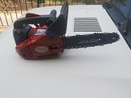 Motosega Bluebird potatura 25cm (AZ)