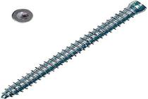 Vite muro testa cilindrica FFSZ 5x72 T15 (50 Pz.)