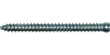 Vite muro testa cilindrica FFSZ 7,5 x 182 T30 (100 Pz.) Vite muro testa cilindrica FFSZ 7,5 x 182 T30 (100 Pz.)