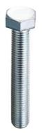 AMBROVIT SPA VITI 5739/8.8 FE/ZIN TE 20X 60 (AZ)