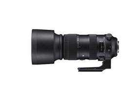 Sigma 730954 Obiettivo 60-600 mm F/4,5-6,3 AF S DG OS HSM, Attacco Canon, Nero (AZ)