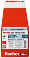 FPF II CTF 10,0 x 300 BC 50 (50 Pz.)