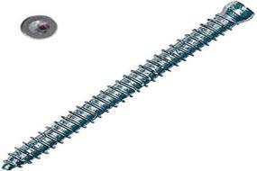 Vite muro testa cilindrica FFSZ 5x72 T15 (50 Pz.) Vite muro testa cilindrica FFSZ 5x72 T15 (50 Pz.)