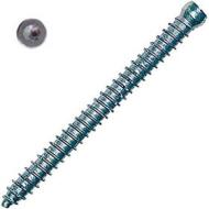 Vite muro testa cilindrica FFSZ 7,5x62 T30 (100 Pz.) Vite muro testa cilindrica FFSZ 7,5x62 T30 (100 Pz.)