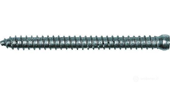 Vite muro testa cilindrica FFSZ 7,5 x 182 T30 (100 Pz.)