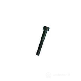 VITE BRUGOLA TC 8.8 5x 20 DIN912-UNI5931 (Pz 500) [AMBROVIT ] (AZ)