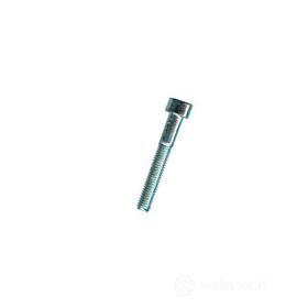 VITE BRUGOLA TC 8.8 10x 70 ZN DIN912-UNI5931 (Pz 50) [AMBROVIT ] (AZ)