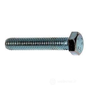 Vite testa esagonale SKS 8X50 A2 inox (100 Pz.)