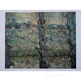 Vincent Van Gogh - Jardin autunnal le parc public - Poster vintage originale anno 1996