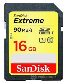 Schede di memoria Extreme SDSDXNE-016G-GNCIN (AZ)