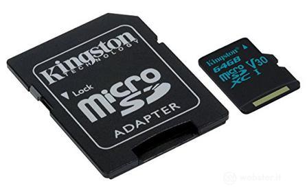 Schede di memoria microSDXC Canvas Go! (AZ)