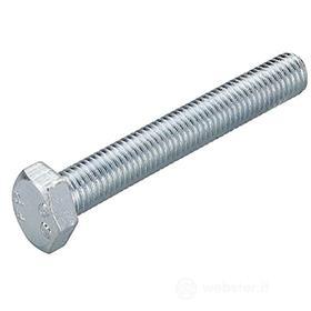 Vite testa esagonale SKS 12x25 hdg (100 Pz.)