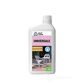 Detergente per idropulitrici 1 l (AZ)