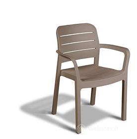 Tisara sedia con braccioli color cappuccino, misure 58X53X83H cm (AZ)