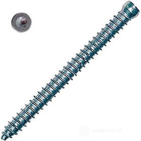 Vite muro testa cilindrica FFSZ 7,5x62 T30 (100 Pz.)