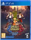 Double Dragon Gaiden: Rise of the Dragons