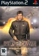 Pilot Down