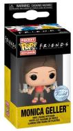 FUNKO KEY Friends Monica w/Braids