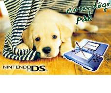 Nintendo DS - Blue + Nintendogs Labrador