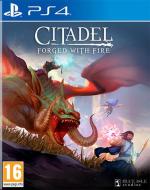 Citadel: Forged With Fire