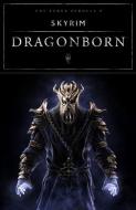 The Elder Scrolls V Skyrim - Dragonborn