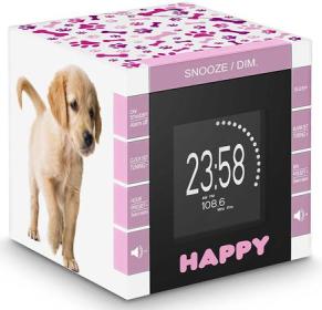 BB Radio Digital FM Cane Labrador