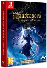 Mandragora: Whispers Of The Witch Tree Collector's Edition
