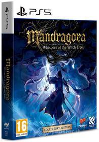 Mandragora: Whispers Of The Witch Tree Collector's Edition