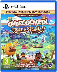 Overcooked All You Can Eat