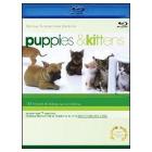 Puppies & Kittens (Blu-ray)